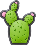 Cactus with Flowers Charms