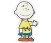 Peanuts® Charlie Brown®