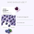 THEFACESHOP REAL NATURE BLUEBERRY FACE MASK(GZ)