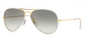 Ray-Ban™ Aviator Full Color 8056597446518 - Gray On Legend Gold